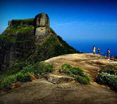 Auberge de jeunesse Hostel Barra Da Tijuca Tree House Rio de Janeiro