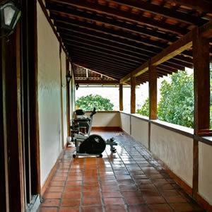 Auberge de jeunesse Hostel Barra Da Tijuca Tree House